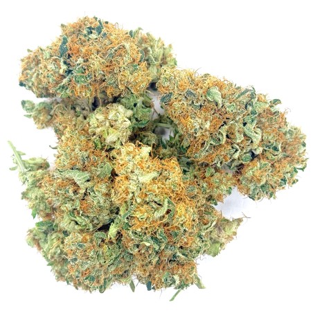 Cookies Kush 1 CBD – Fleur indoor LUXURY FARM