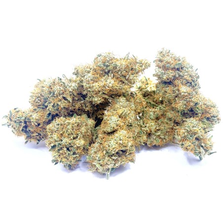 Cookies Kush 2 CBD – Fleur indoor LUXURY FARM