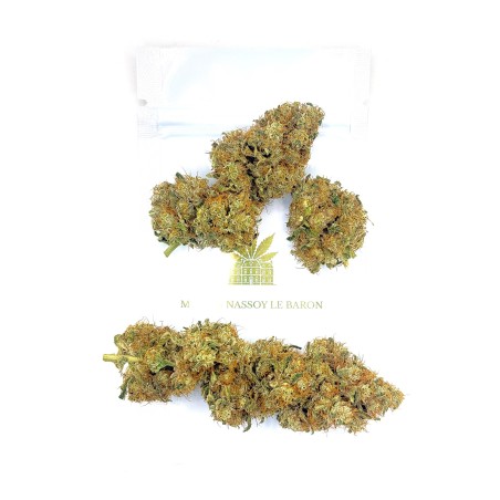 Cookies Kush 2 CBD – Fleur indoor LUXURY FARM