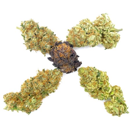 Pack Keepers LUXURY FARM – 15 g fleurs CBD indoor