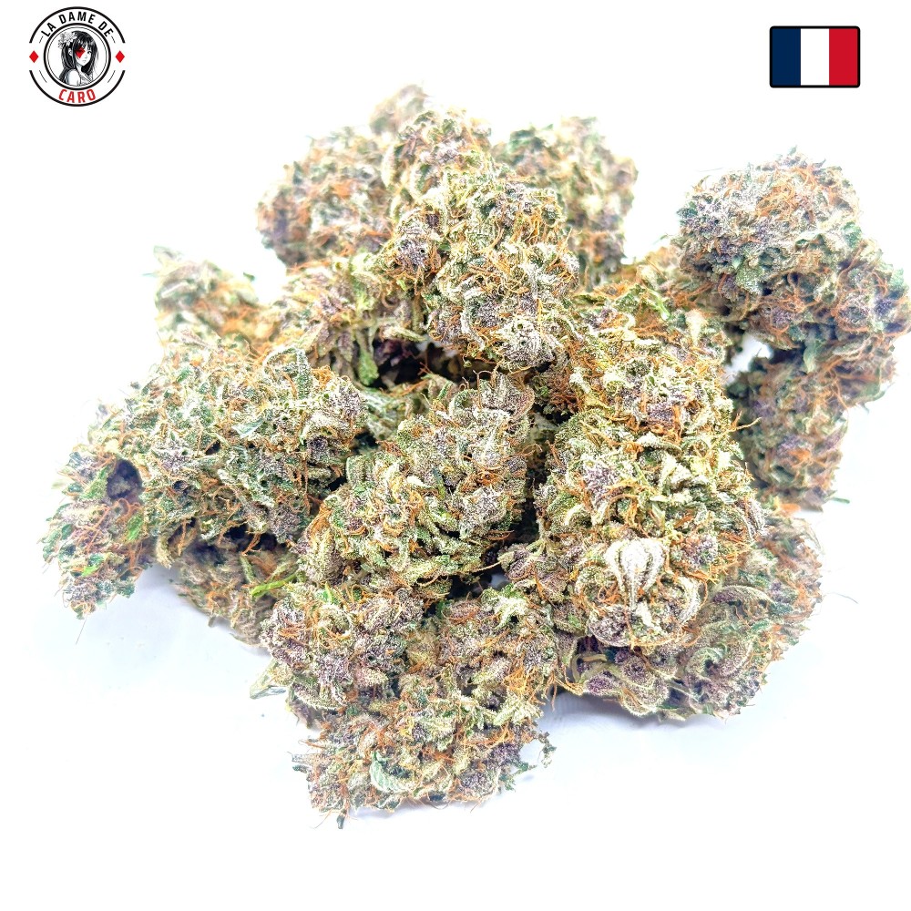 Ocarina Of Gaz CBD – Fleur indoor en sol vivant