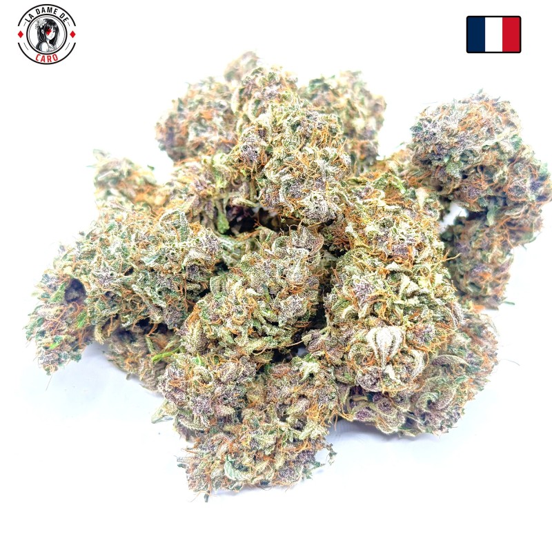 Ocarina Of Gaz CBD – Fleur indoor en sol vivant
