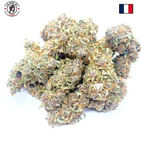 Ocarina Of Gaz CBD – Fleur indoor en sol vivant