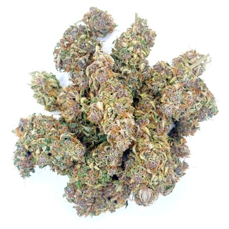 Ocarina Of Gaz CBD – Fleur indoor en sol vivant