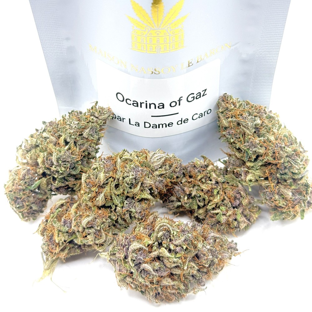 Ocarina Of Gaz CBD – Fleur indoor en sol vivant