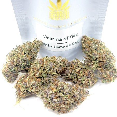 Ocarina Of Gaz CBD – Fleur indoor en sol vivant