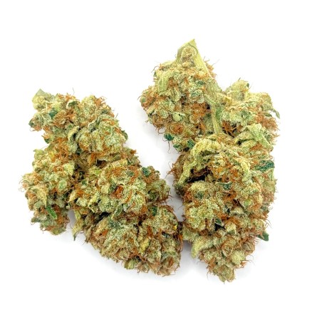 Pack No-Veg LUXURY FARM – Deux fleurs CBD indoor expérimentales