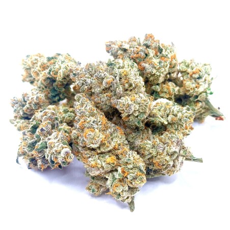 Pack No-Veg LUXURY FARM – Deux fleurs CBD indoor expérimentales