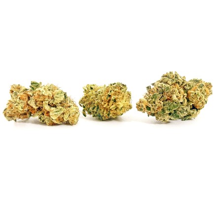 Pack Hunters LUXURY FARM – 6 g fleurs CBD indoor