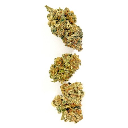 Pack Hunters LUXURY FARM – 6 g fleurs CBD indoor