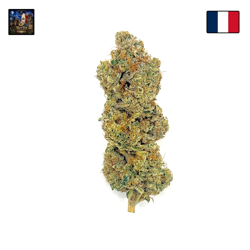 Capitain Crunch CBD – Fleur type Cali par Merlin