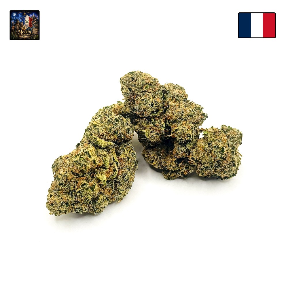 Payton Lemon CBD – Fleur citronnée par Merlin