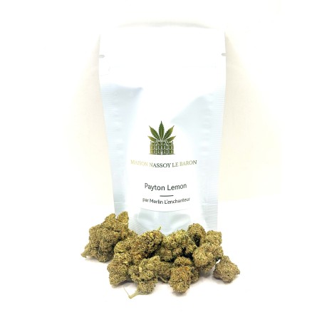 Payton Lemon CBD – Fleur citronnée par Merlin
