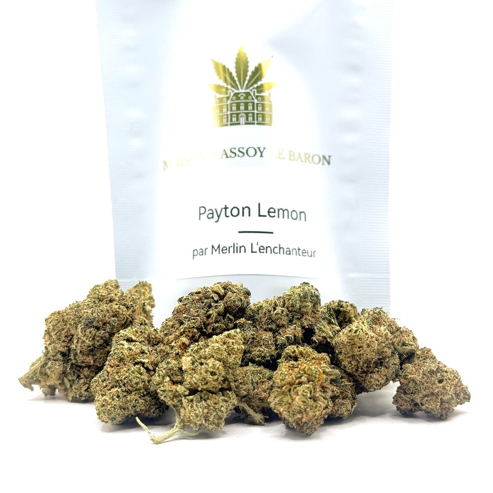 Payton Lemon CBD – Fleur citronnée par Merlin