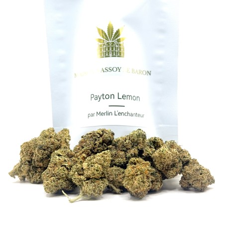 Payton Lemon CBD – Fleur citronnée par Merlin