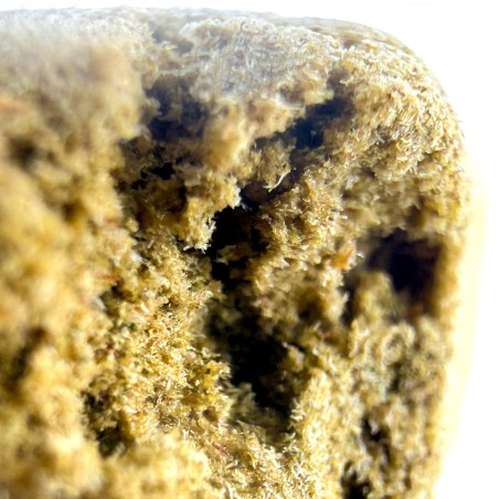 Tutti Frutti Hash CBD – El Professor x CBD Maker | DrySift