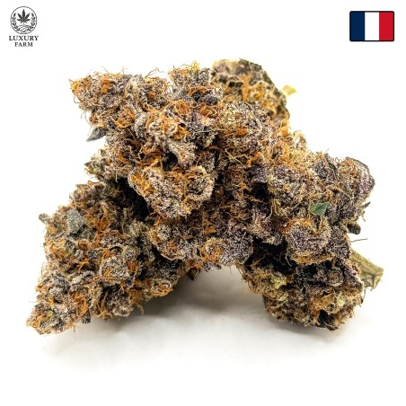Donut 5 CBD | Fleur indoor par LUXURY FARM