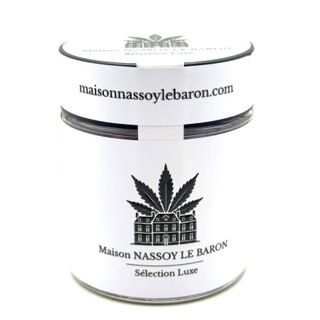 Static Cookies CBD | Static Hash Premium El Professeur
