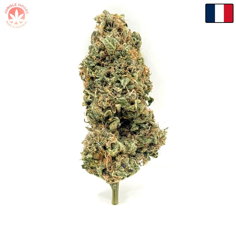 Berry Pebbles CBD – Fleur Candy | Jungle House