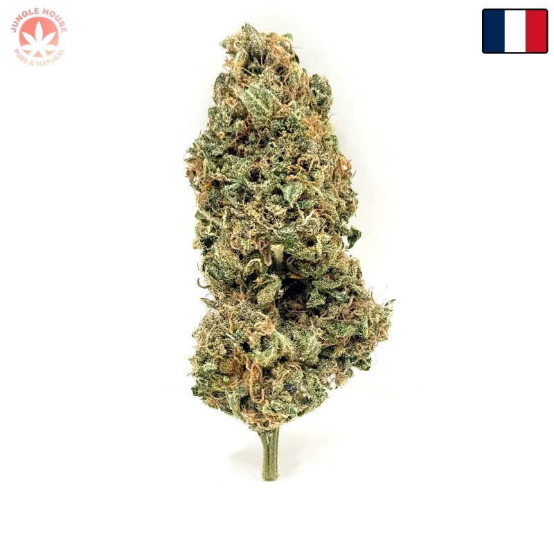 Berry Pebbles CBD – Fleur Candy | Jungle House