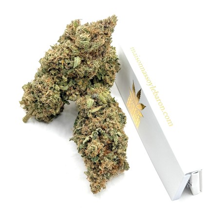 Berry Pebbles CBD – Fleur Candy | Jungle House