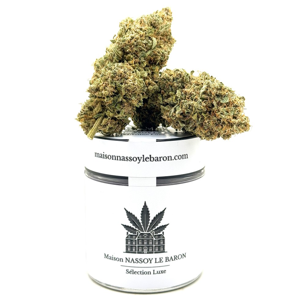 Berry Pebbles CBD – Fleur Candy | Jungle House