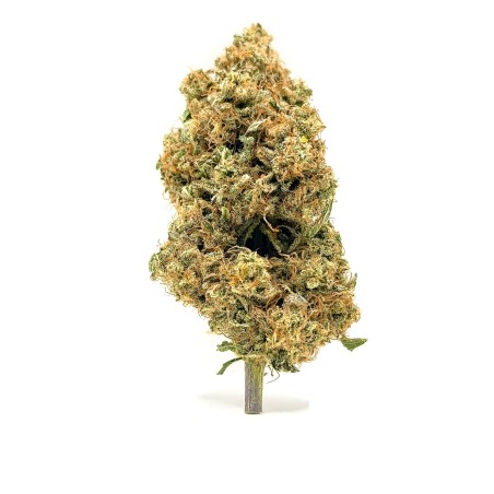 Yuzu CBD – Fleur indoor sol vivant par Jungle House
