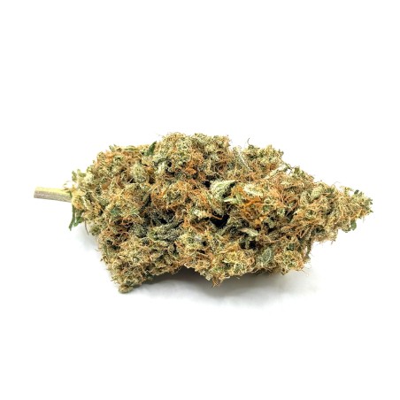Yuzu CBD – Fleur indoor sol vivant par Jungle House