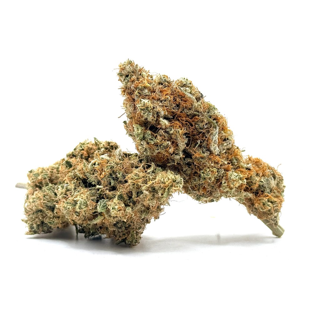 Yuzu CBD – Fleur indoor sol vivant par Jungle House