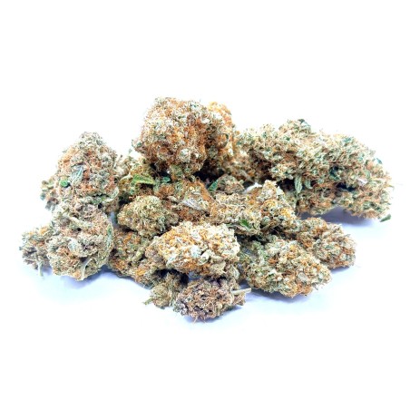 Yuzu CBD – Fleur indoor sol vivant par Jungle House