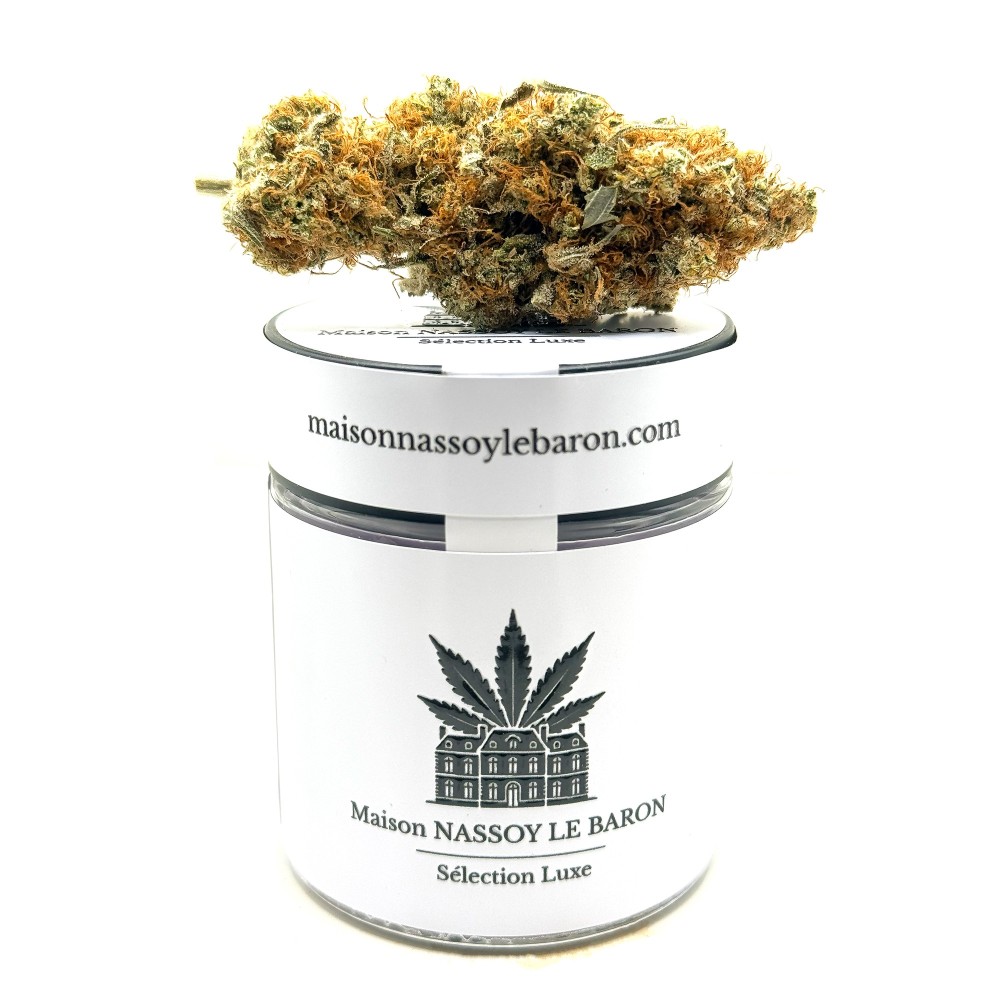 Yuzu CBD – Fleur indoor sol vivant par Jungle House