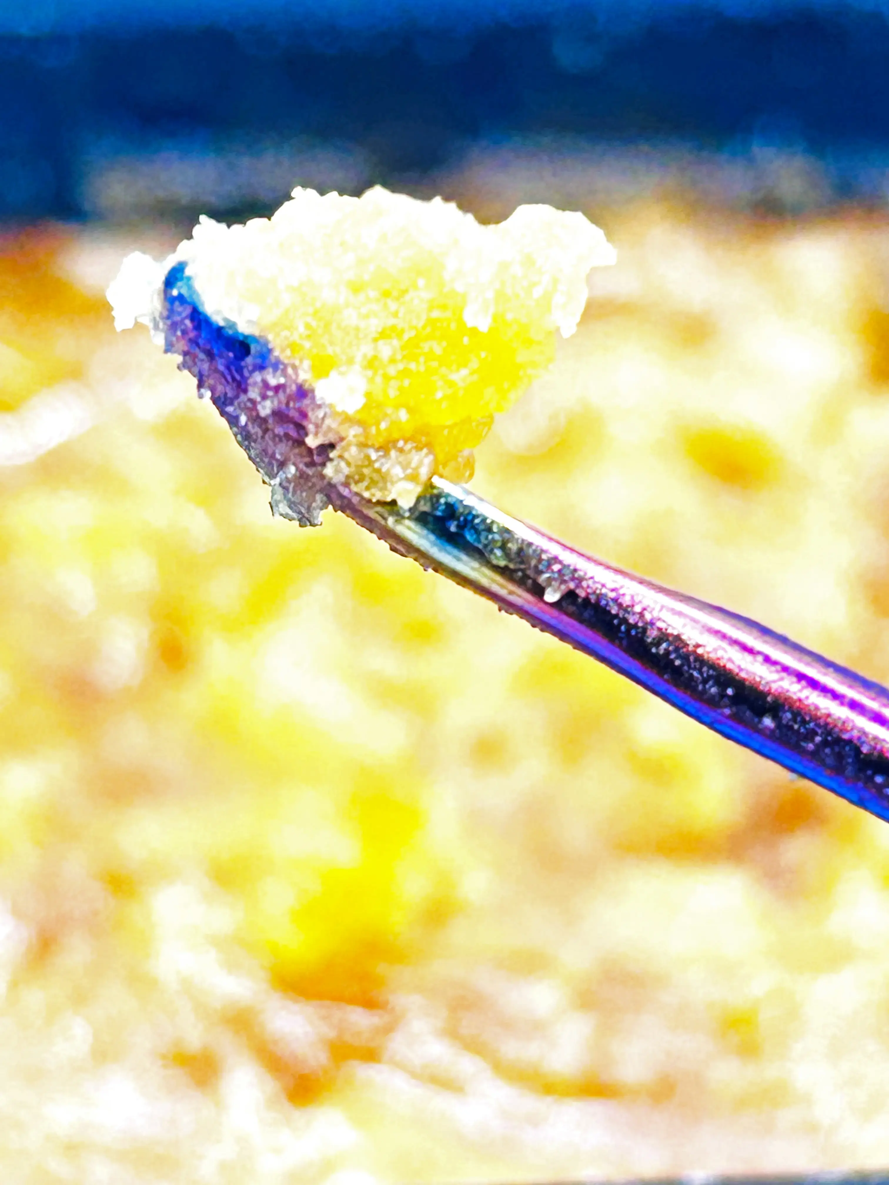 Sugar Wax
