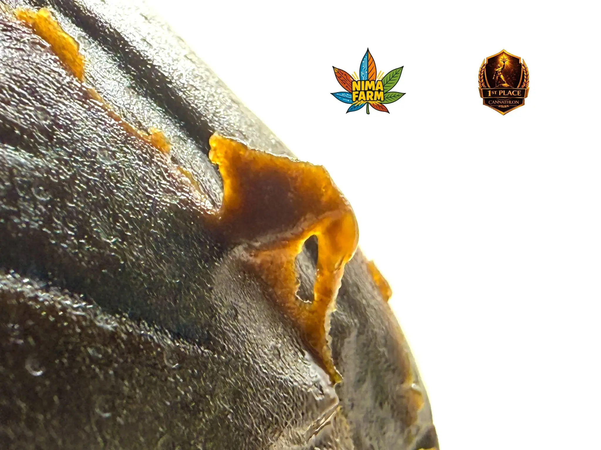 Comment reconnaître une extraction CBD premium