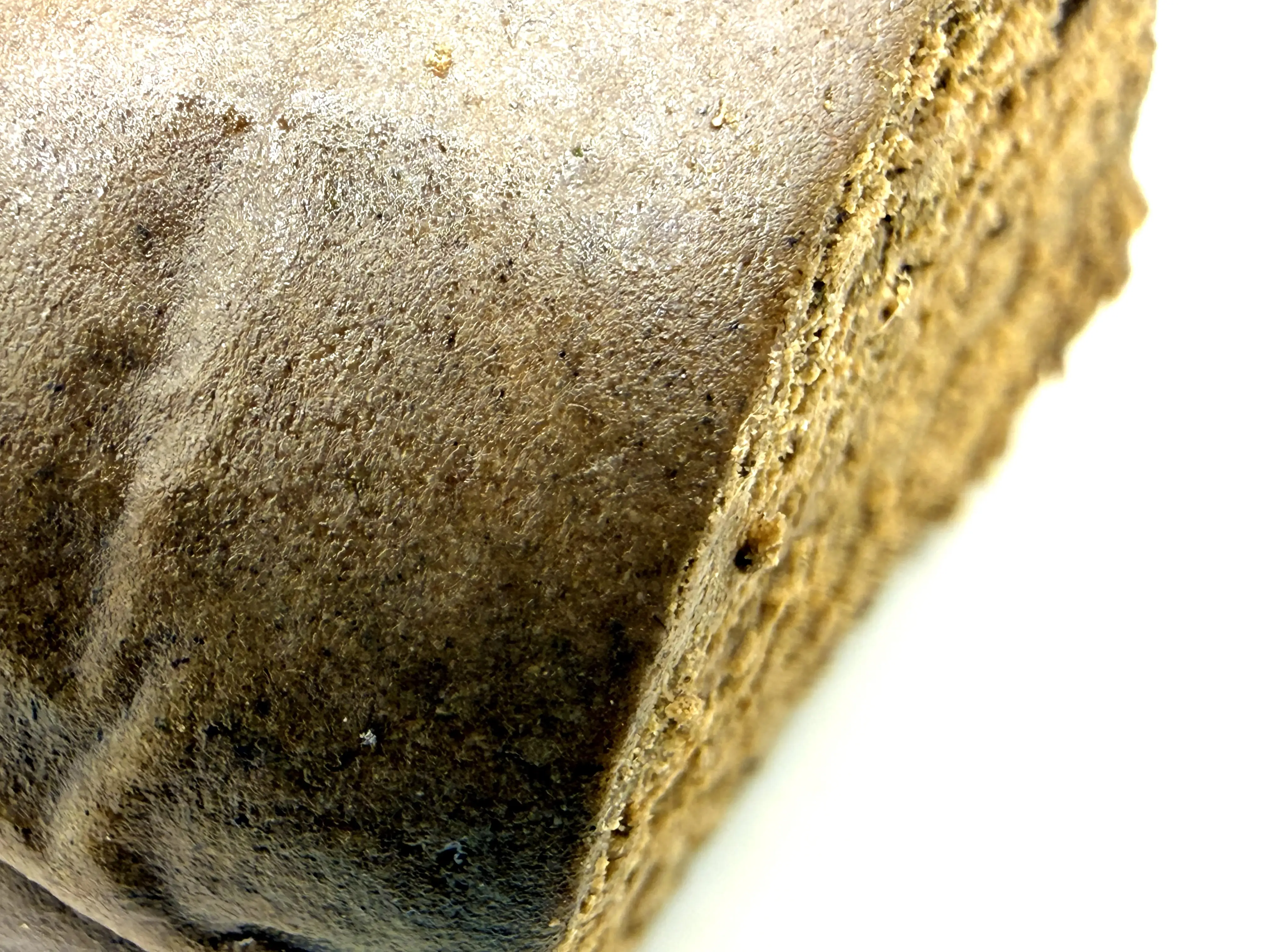 Fresh Frozen 120/45µ par NiMa Farm