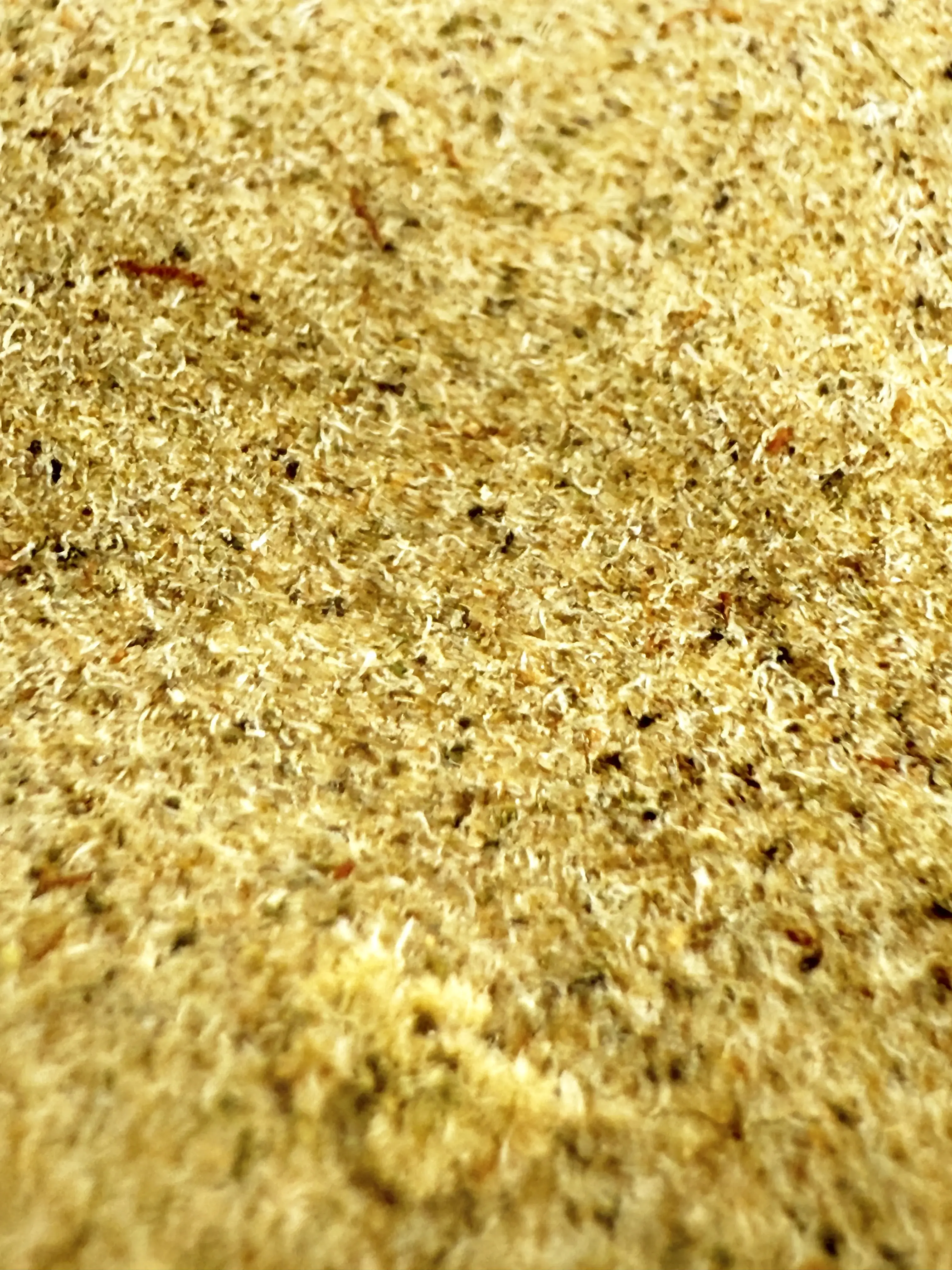 le nouveau langage du hash