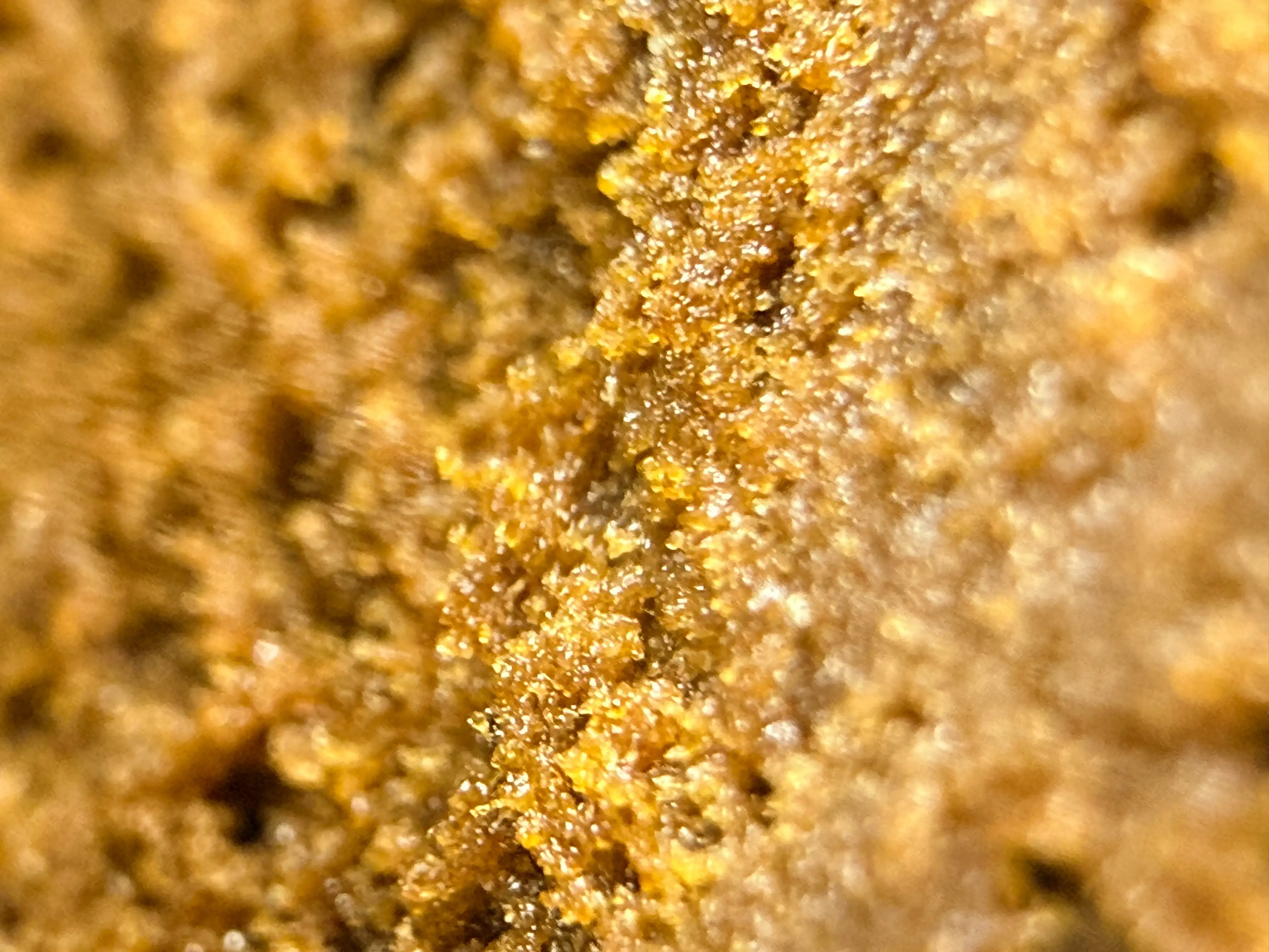 Full Melt Hash qualité et têtes de trichomes
