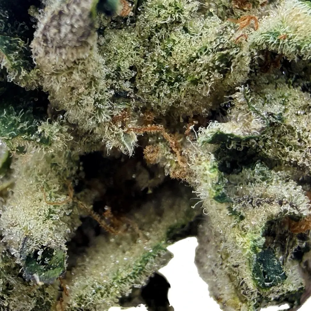 Lemon Candy CBD structure aromatique