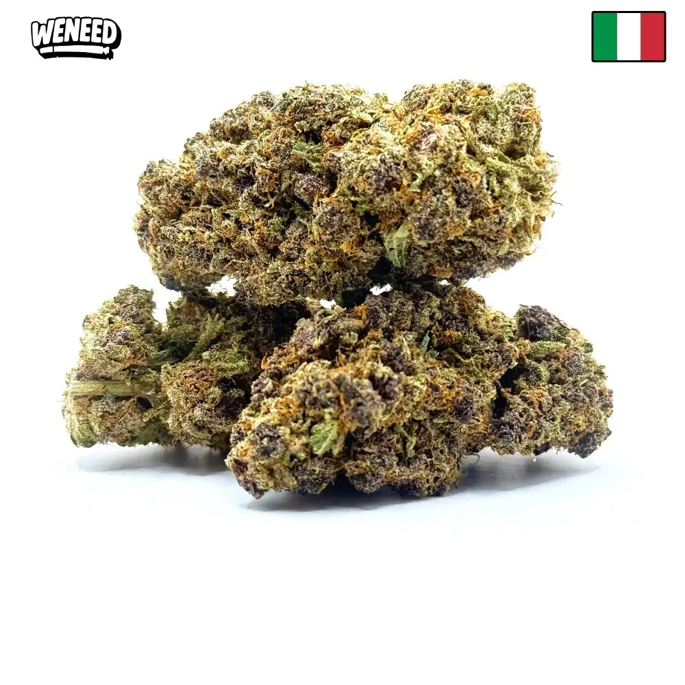 Milka Pop par WeNeed