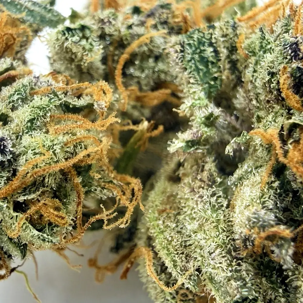 Rainbow Sherbet CBD par Loud Co